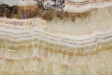 Polished Banded Travertine Slab - New Mexico #324329-1
